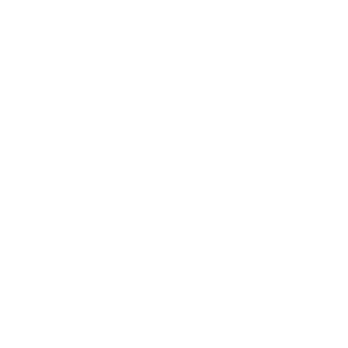 Skill Mammoth Digital logo